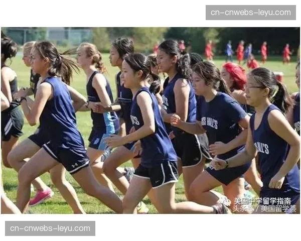 深度：美国大学垒球奖学金分配机制及其对运动员学业选择的影响